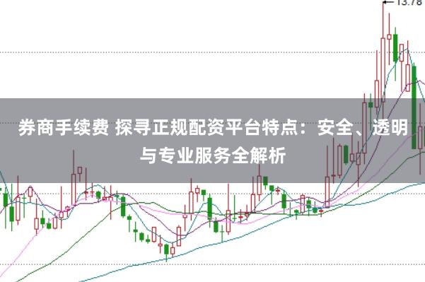券商手续费 探寻正规配资平台特点：安全、透明与专业服务全解析