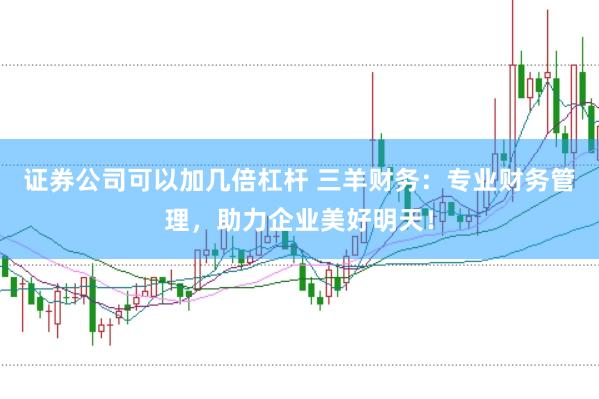 证券公司可以加几倍杠杆 三羊财务：专业财务管理，助力企业美好明天！