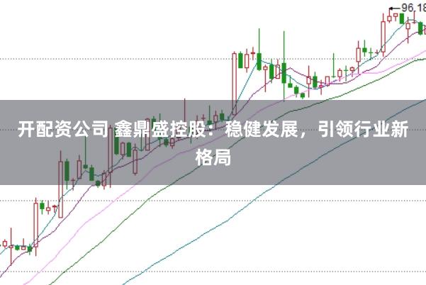 开配资公司 鑫鼎盛控股：稳健发展，引领行业新格局