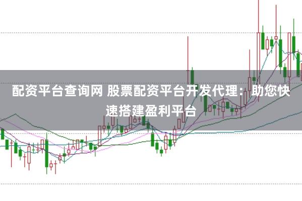 配资平台查询网 股票配资平台开发代理：助您快速搭建盈利平台