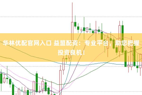 华林优配官网入口 益盟配资：专业平台，助您把握投资良机！