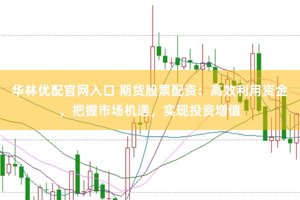 华林优配官网入口 期货股票配资：高效利用资金，把握市场机遇，实现投资增值