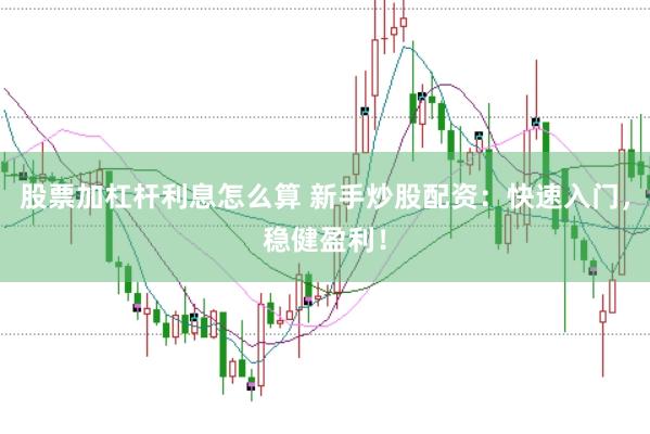 股票加杠杆利息怎么算 新手炒股配资：快速入门，稳健盈利！
