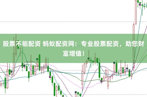 股票不能配资 蚂蚁配资网：专业股票配资，助您财富增值！