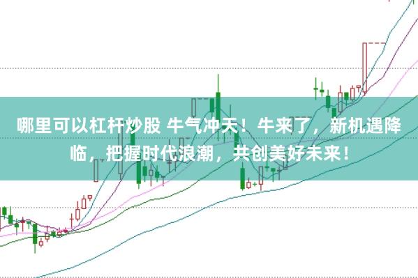 哪里可以杠杆炒股 牛气冲天！牛来了，新机遇降临，把握时代浪潮，共创美好未来！