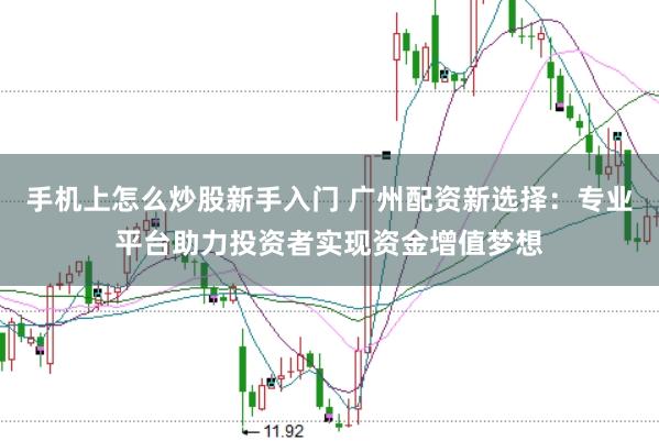 手机上怎么炒股新手入门 广州配资新选择：专业平台助力投资者实现资金增值梦想
