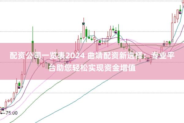 配资公司一览表2024 曲靖配资新选择：专业平台助您轻松实现资金增值