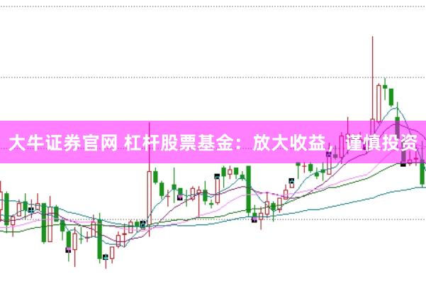 大牛证券官网 杠杆股票基金：放大收益，谨慎投资