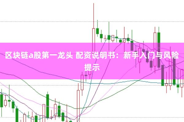 区块链a股第一龙头 配资说明书：新手入门与风险提示