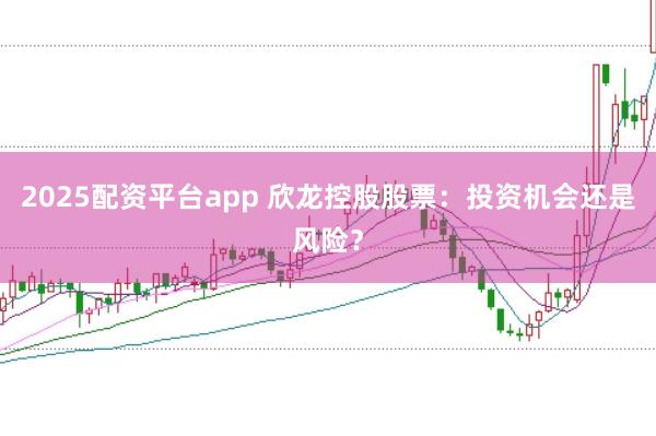 2025配资平台app 欣龙控股股票：投资机会还是风险？