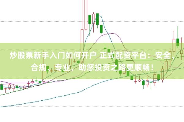 炒股票新手入门如何开户 正式配资平台：安全、合规、专业，助您投资之路更顺畅！