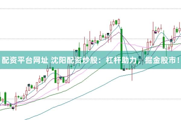 配资平台网址 沈阳配资炒股：杠杆助力，掘金股市！