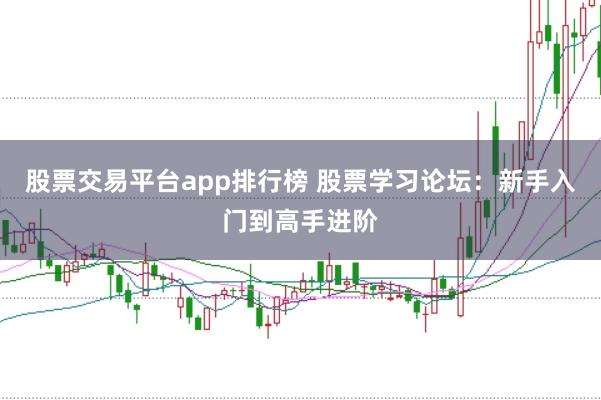 股票交易平台app排行榜 股票学习论坛：新手入门到高手进阶