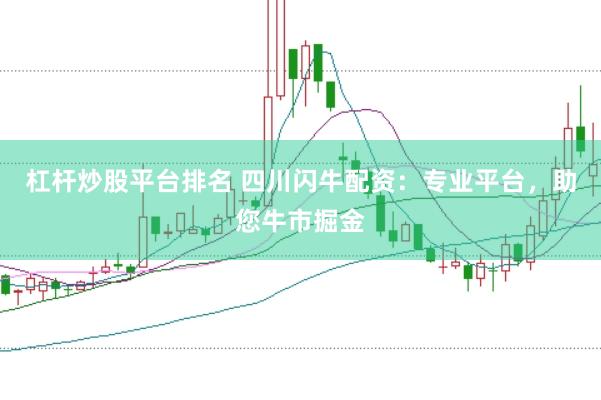 杠杆炒股平台排名 四川闪牛配资：专业平台，助您牛市掘金